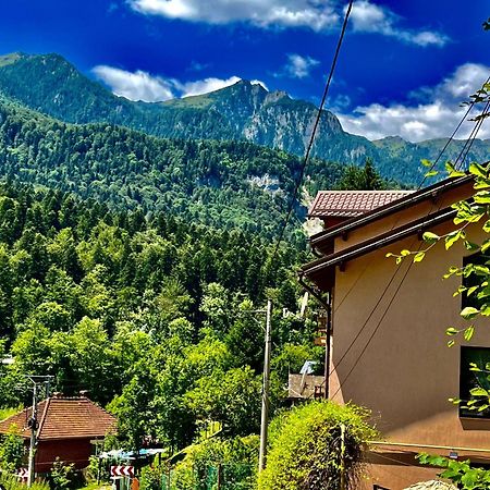 Pensiunea Roua Sinaia Exterior foto